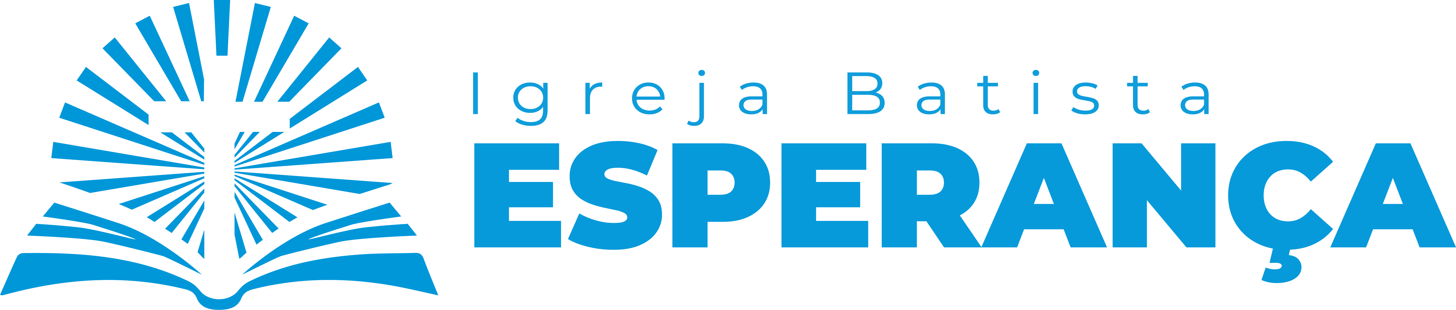 Parceiro 9